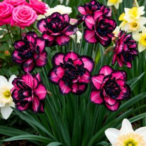 Нарцисс Золотая Корона купить по цене от 2000р. в интернет-магазине «Посадика» с доставкой почтой в в Советская Гаванье и по всей России – [изображение №1].